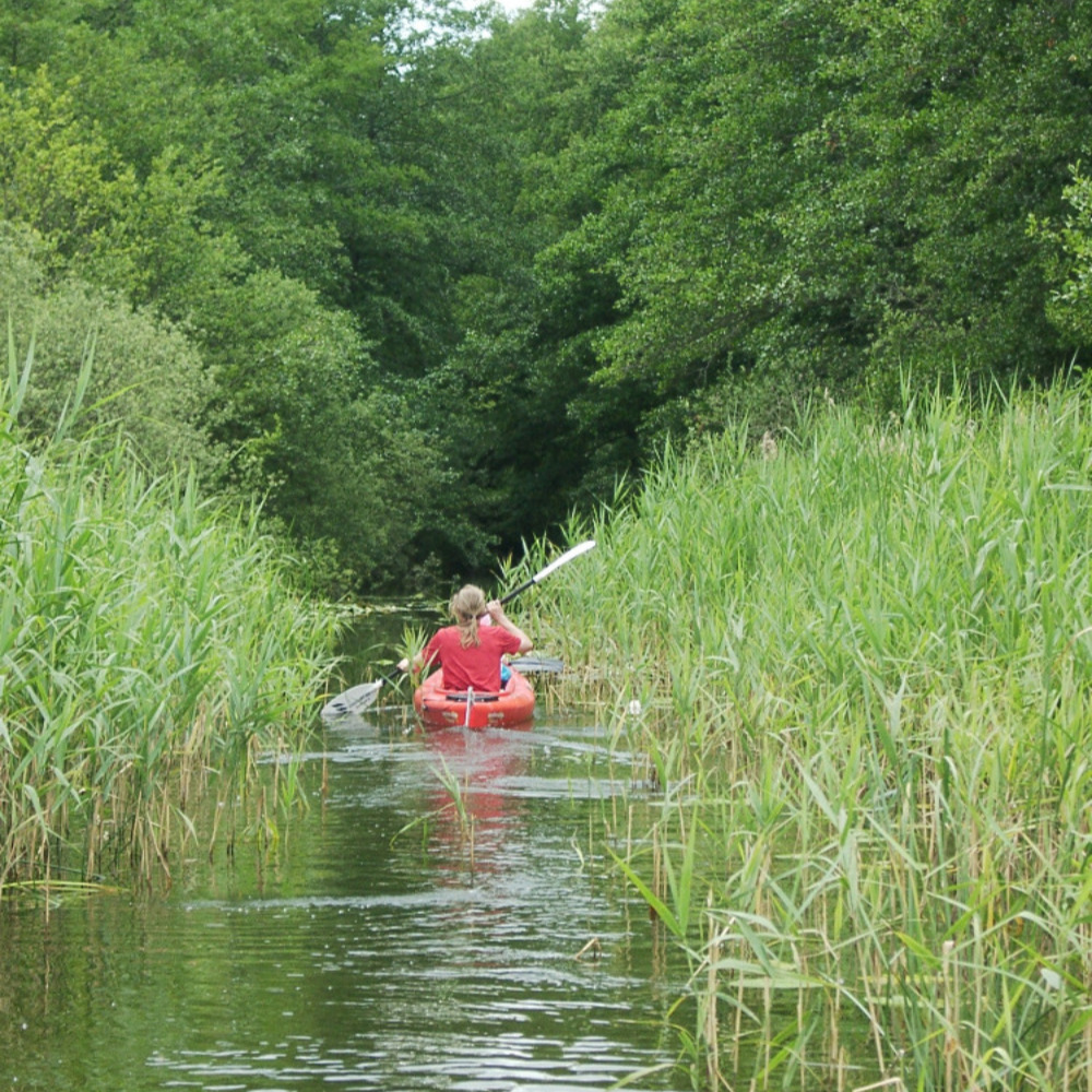Kleine Tour durch den Wald